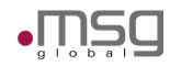 MSG Global Solutions logo